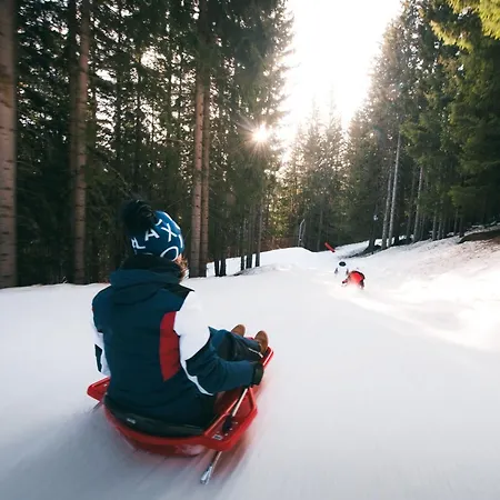 Confortable 2 Pieces, Skis Aux Pieds, Proche Commerces - Fr-1-182a-33 * Κουρσεβέλ