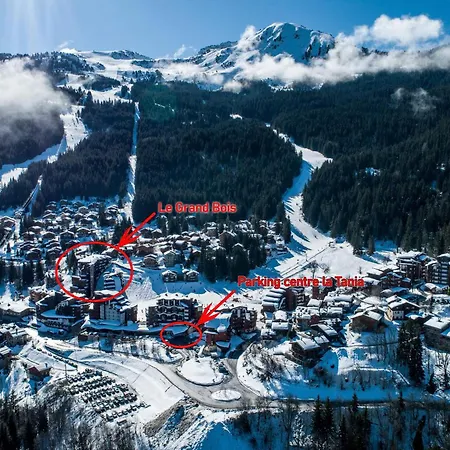 Apartment Location A La Tania - 2 Pieces, 4 Pers, Aux Pieds, Proche Commerces - Fr-1-182a-33 Courchevel