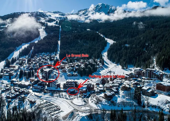 شقة Confortable 2 Pieces, Skis Aux Pieds, Proche Commerces - Fr-1-182a-33 كورشوفيل